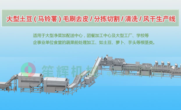 乌伊岭连续式土豆去皮清洗切割风干生产线